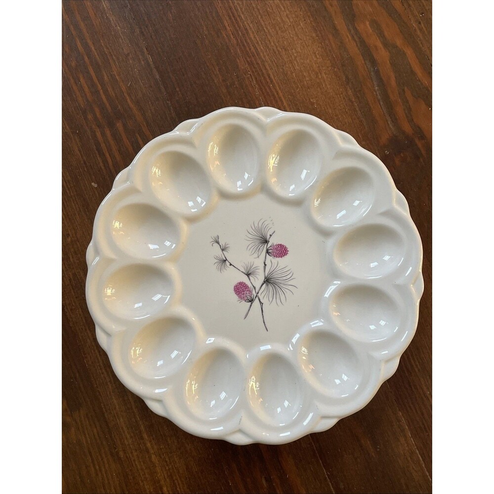 Vintage Mid Century Canonsburg China Wild Clover Deviled Egg Serving Dish
